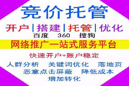 百度推广实战攻略：案例与策略